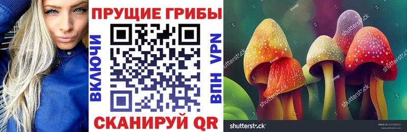 Псилоцибиновые грибы ЛСД  Купить закладки  Сердобск 